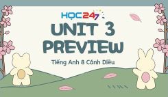 Unit 3 – Preview
