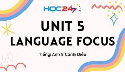 Unit 5 – Language Focus