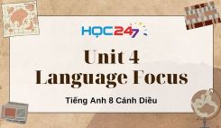 Unit 4 – Language Focus