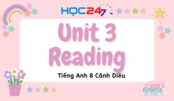 Unit 4 – Reading