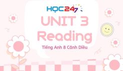 Unit 3 – Reading