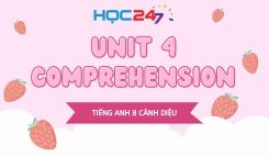 Unit 4 – Comprehension