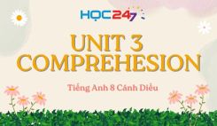 Unit 3 – Comprehesion