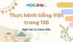 Thực hành tiếng Việt trang 136