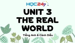 Unit 3 – The Real World