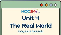 Unit 4 – The Real World