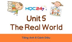 Unit 5 – The Real World