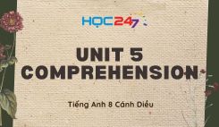 Unit 5 – Comprehension