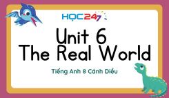 Unit 6 – The Real World