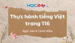 Thực hành tiếng Việt trang 116