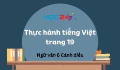 Thực hành tiếng Việt trang 19