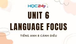Unit 6 – Language Focus