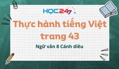 Thực hành tiếng Việt trang 43