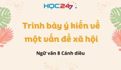 Trình bày ý kiến về một vấn đề xã hội