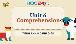 Unit 6 – Comprehension