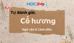 Tự đánh giá: Cố hương