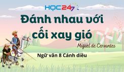 Đánh nhau với cối xay gió