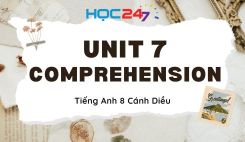 Unit 7 – Comprehension