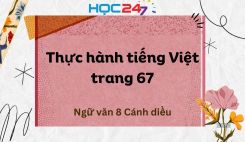 Thực hành tiếng Việt trang 67