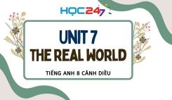 Unit 7 – The Real World