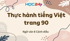 Thực hành tiếng Việt trang 90