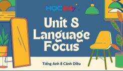 Unit 8 – Language Focus