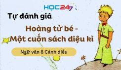 Tự đánh giá: Hoàng tử bé – Một cuốn sách diệu kì