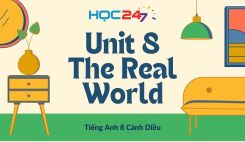 Unit 8 – The Real World