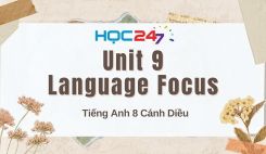 Unit 9 – Language Focus
