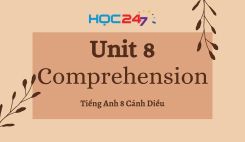 Unit 8 – Comprehension