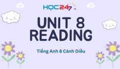 Unit 8 – Reading