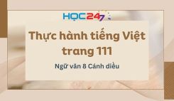 Thực hành tiếng Việt trang 111