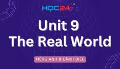 Unit 9 – The Real World