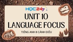 Unit 10 – Langugae Focus