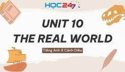 Unit 10 – The Real World