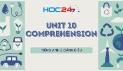 Unit 10 – Comprehension