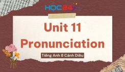 Unit 11 – Communication