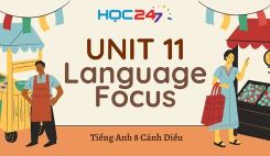 Unit 11 – Language Focus
