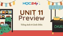 Unit 11 – Preview