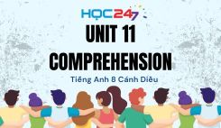 Unit 11 – Comprehension
