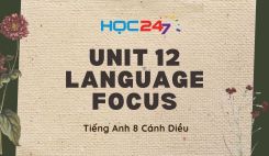 Unit 12 – Language Focus