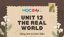 Unit 12 – The Real World
