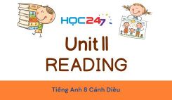 Unit 11 – Reading