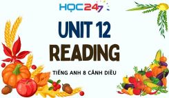 Unit 12 – Reading