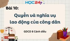 Bài 10: Quyền và nghĩa vụ lao động của công dân