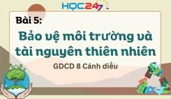 Bài 5: Bảo vệ môi trường và tài nguyên thiên nhiên