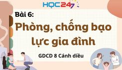 Bài 6: Phòng, chống bạo lực gia đình