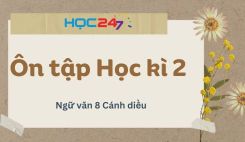 Ôn tập Học kì 2