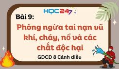 Bài 9: Phòng ngừa tai nạn vũ khí, cháy, nổ và các chất độc hại