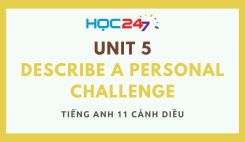 Unit 5E – Describe a Personal Challenge